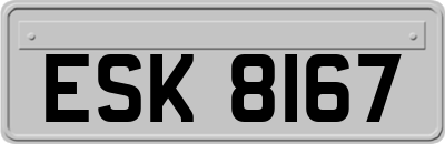 ESK8167