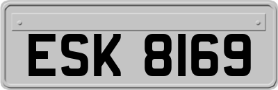 ESK8169