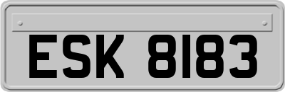 ESK8183