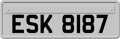 ESK8187