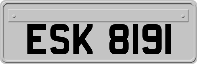 ESK8191