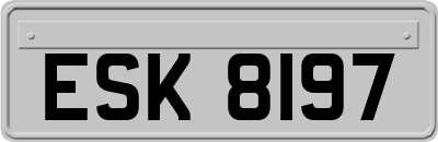 ESK8197