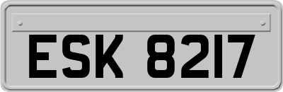 ESK8217