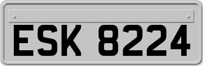 ESK8224