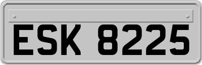 ESK8225