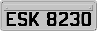 ESK8230