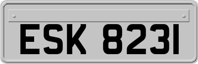 ESK8231