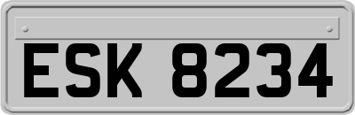 ESK8234