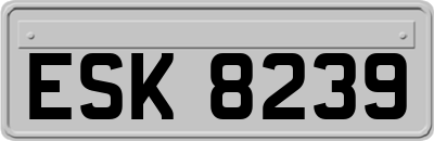 ESK8239