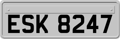 ESK8247