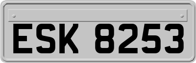 ESK8253
