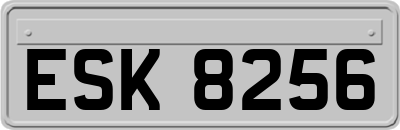 ESK8256