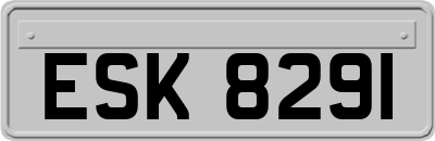 ESK8291