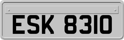 ESK8310