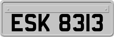 ESK8313