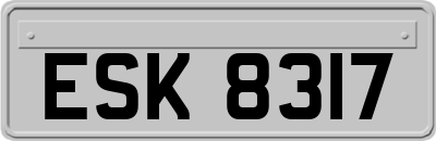 ESK8317