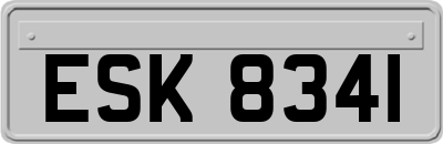 ESK8341