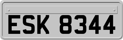ESK8344