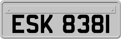 ESK8381