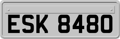 ESK8480