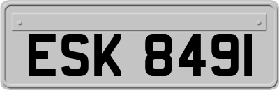 ESK8491
