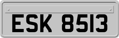 ESK8513