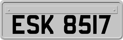 ESK8517