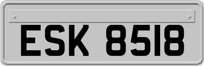 ESK8518