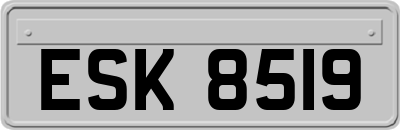 ESK8519