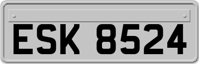 ESK8524
