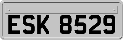 ESK8529