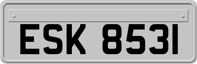 ESK8531