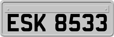 ESK8533
