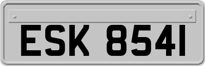 ESK8541