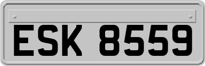 ESK8559