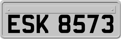 ESK8573