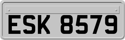 ESK8579