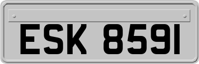 ESK8591