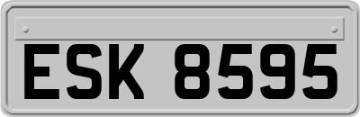 ESK8595