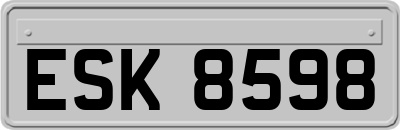 ESK8598