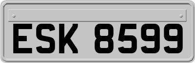 ESK8599