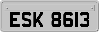 ESK8613