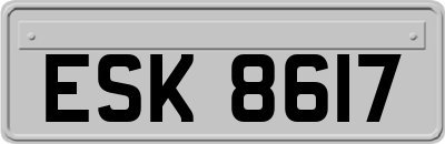 ESK8617