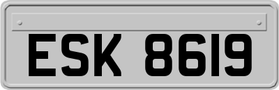 ESK8619