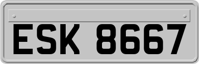 ESK8667