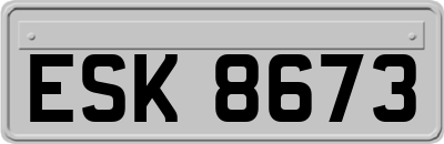 ESK8673