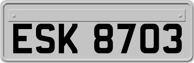 ESK8703