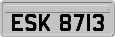 ESK8713
