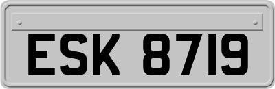ESK8719