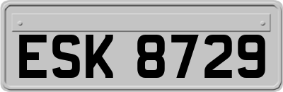 ESK8729